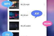 视频播放器免费,揭秘免费视频播放器的魅力所在