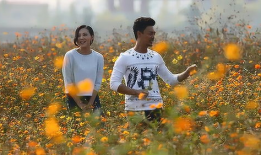 草草爱视频,揭秘现代都市情感生活的真实面貌